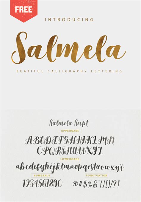 Calligraphy fonts have many uses and are best paired with a simple body font for balanc e. 20 Best Free Calligraphy Fonts Download In 2019 - Webgyaani