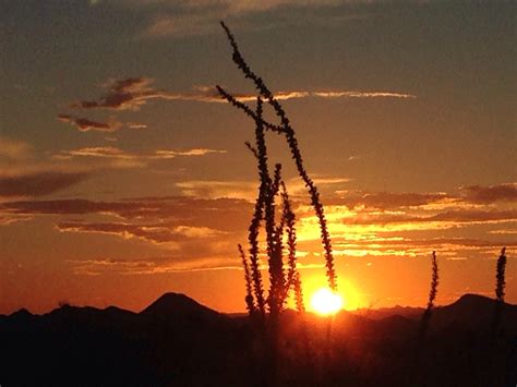 Salida Y Puesta De Sol De Mountain View Cave Creek Az Ee Uu