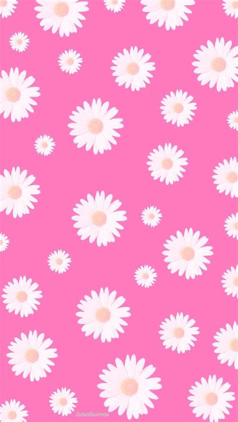 Aesthetic Daisy Wallpaper Pink