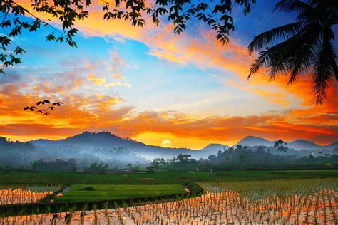 Sunrise Over The Rice Field 1781526 Stock Photo At Vecteezy