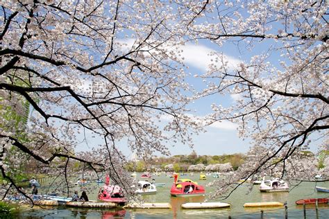 10 Best Parks In Tokyo Japan Travel Guide Jw Web Magazine