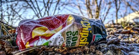We help you find the best landscaping companies in eureka, ca. What is the Best Time of the Year to Mulch? - Wholesale ...