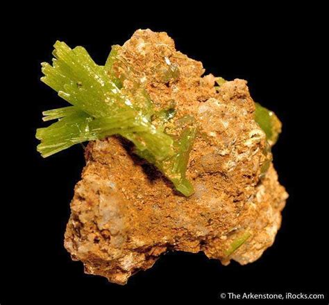 Grassy Green Pyromorphite Plume San Luis Mine Irocks Fine Minerals