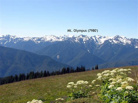 The hurricane ridge resort summary is: RVing and Travels...Adventures with Suzanne and Brad: Hurricane Ridge, Olympic National Park ...