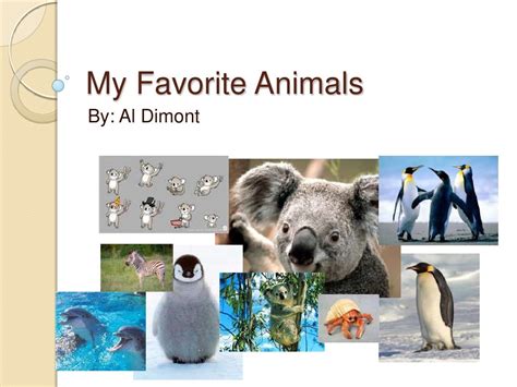 My Favorite Animals