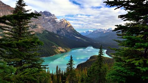 Canada Alberta Banff National Park Mount Patterson Peyto Lake