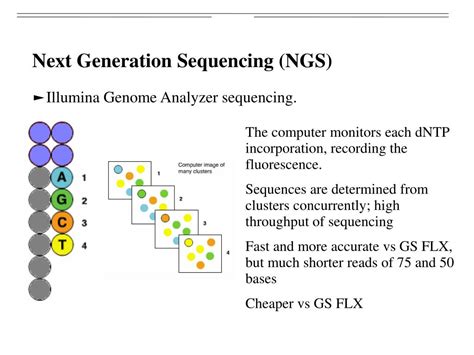 Ppt Next Generation Sequencing Charlotte Alston Ncg Mitochondrial