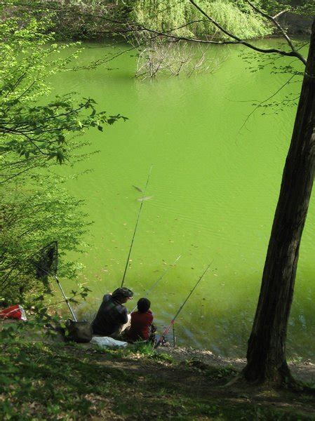 Fishing In The Pond Free Stock Photos Rgbstock Free Stock Images