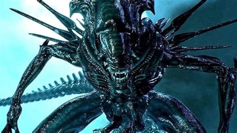 Aliens Xenomorph Queens Have A Horrific Final Fate The Movies Ignore