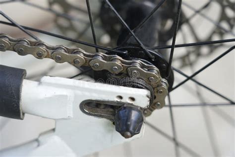 Bike Chain On Rear Sprocket Single Speed Close Up Stock Image Image