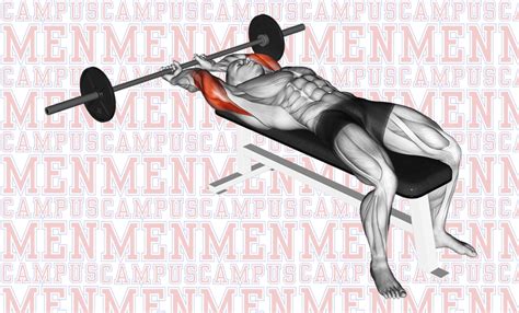 Main Movement Steps For Lying Close Grip Barbell Triceps Extension