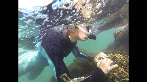 Divers Cove Laguna Beach Snorkeling Youtube
