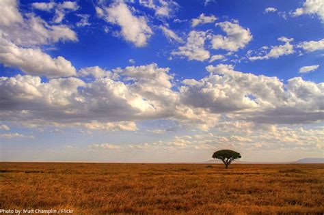 Interesting Facts About Serengeti National Park Just Fun Facts