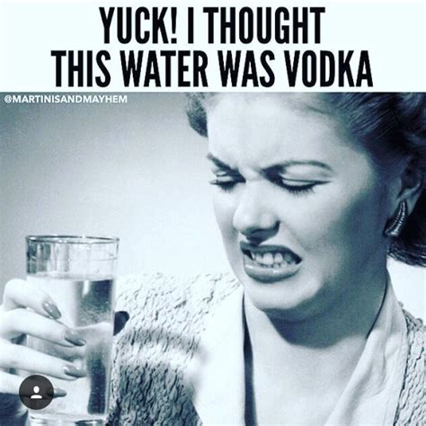 Pin By Michelle Culver On Lol Vodka Humor Vodka Ecards Funny