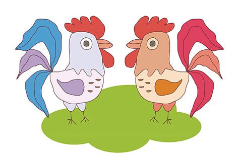 Two Cocks Pictures Illustrations Royalty Free Vector Graphics And Clip
