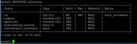 Conceptos básicos MySQL Doc BlueHosting