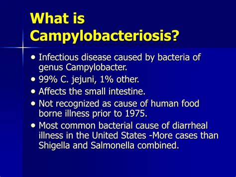 Ppt Campylobacter Jejuni Powerpoint Presentation Free Download Id