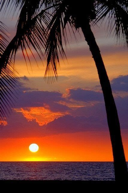 Hawai Mijn Absolute Hawaiian Sunset Beautiful Sunrise Beautiful Sunset