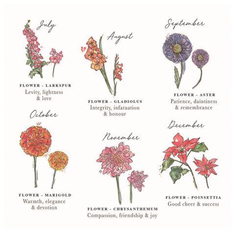 What is the flower for my birth month. Birth Month Flower Print By Vintage Designs Reborn ...