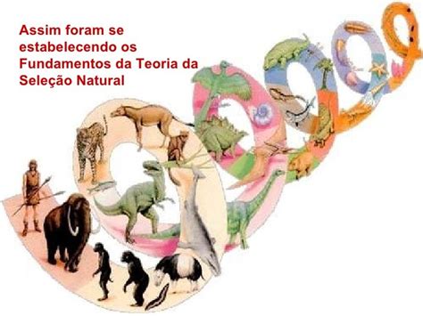 Teoria Da Evolução De Charles Darwin