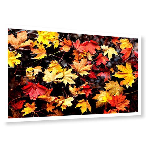 Autumn Leaves Photo Print Big Picture House Buy Autumnal Photo Print