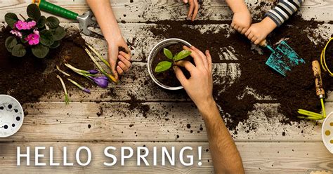 Spring Gardening Tips Gardenshedsdirect