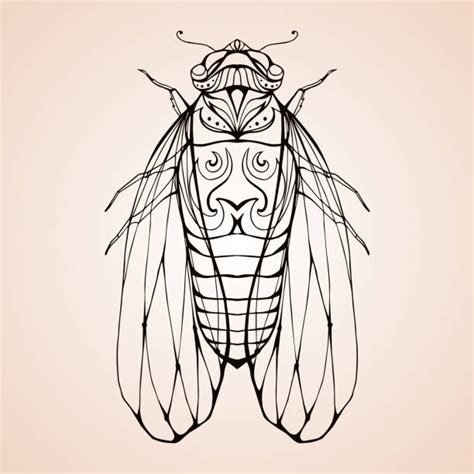 560 Cicada Larva Stock Illustrations Royalty Free Vector Graphics And Clip Art Istock