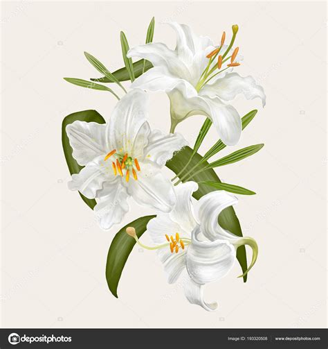 Voir plus d'idées sur le thème fleur de lys dessin, dessin, dessin fleur. Illustration Dessin Fleurs Lys — Photographie Rawpixel ...