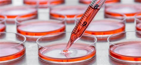 Serum Free Cell Culture Medium - Linkseas Diagnostic Marketplace