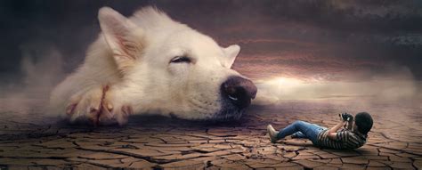 Some breeds have specific meanings: What Dreams About Dogs Mean and How to Interpret Them ...