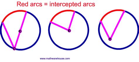 A connected section of the circumference of a circle. Arc of a circle, minor arc, major arc, and central angle.