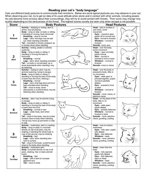 Chart Of Cat Body Language With Diagrams Be Sure To Check Out This