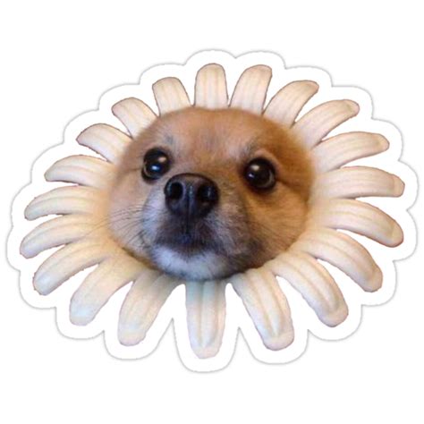 Doggo Stickers Flower Doggo Stickers By Elisecv Redbubble