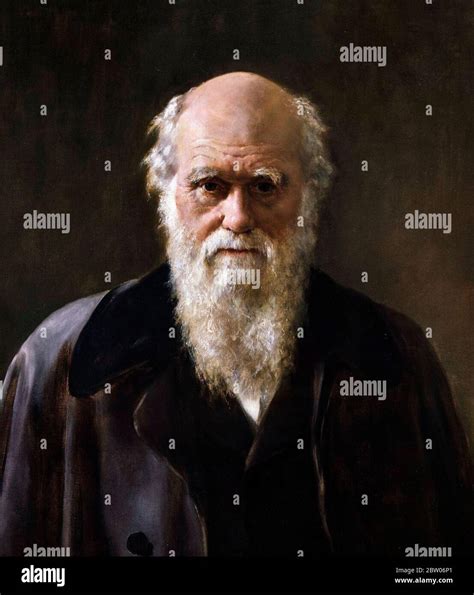 Charles Darwin Portrait Painting Hi Res Stock Photography And Images