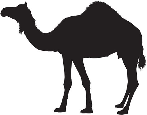 Is there an idiom that is similar in meaning to the last straw that broke the camel's back, except with positive connotations? Camel Silhouette Transparent PNG Clip Art | Gallery ...