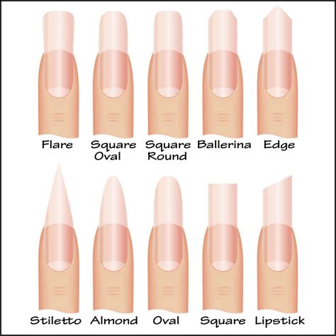 Your Nail Shape And Personality Acrylic Nail Set Types Of Nails