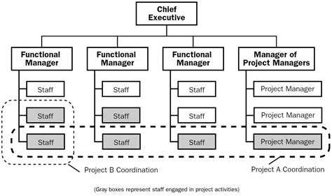 Project Management Team Structure