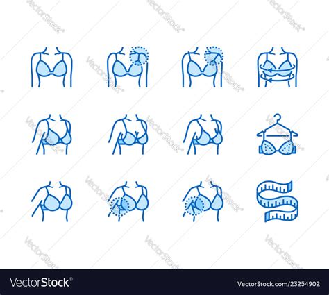 Lingerie Flat Line Icons Set Bra Fitting Breast Vector Image