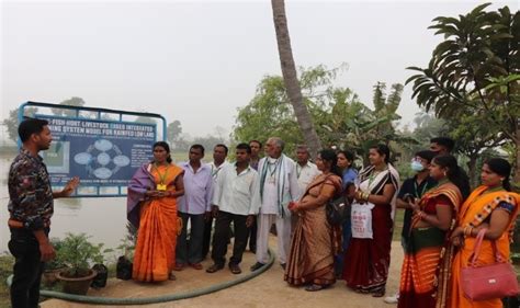 Skill Training Programme On Integrated Farming System For Rice