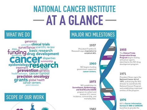 Discover More About What Nci Does What We Fund And Some Highlights