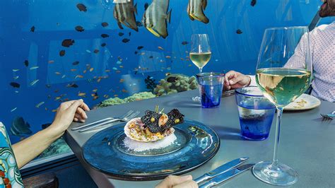 58 Undersea Restaurant Maladewa Restoran Bawah Laut Terbesar Di