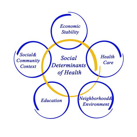 Chapter 18 Model Applications Of Health Disparities Models And