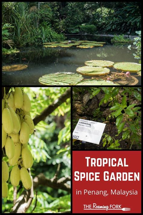 The tropical spice garden penang is a first of its kind place in the entire south east asia. Penang's Tropical Spice Garden | Spice garden
