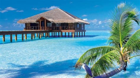 All Inclusive Holidays To Maldives 2018 2019 Thomson Now Tui