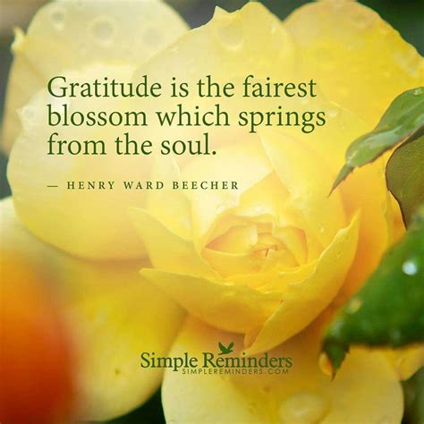 Beautiful Attitude Of Gratitude Gratitude Quotes Practice Gratitude