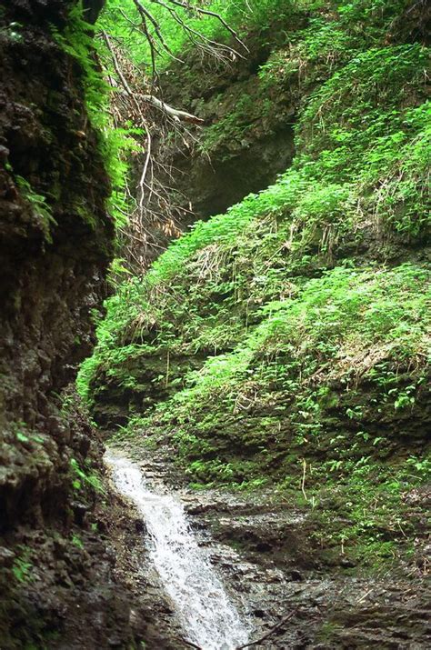 Ohio Seven Caves Stream By Denny Howard