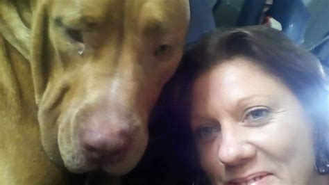 Roaming Laws Put Womans Pet Dog On Death Row The Chronicle