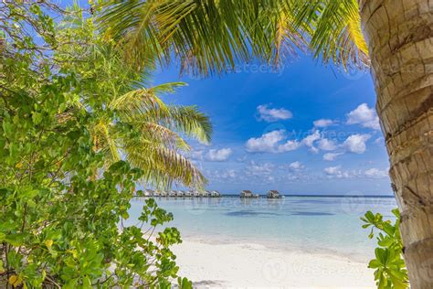 Tranquil Beach Scene Sunny Exotic Tropical Beach Landscape For