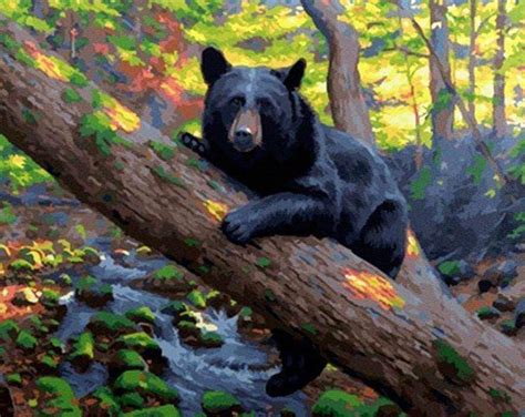 Black Bear Animals Paint By Number Adult Paint By Numbers Kits