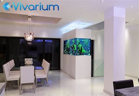 Freshwater Room Divider Aquarium Bespoke Vivarium Design